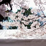 寅ホテル 台東 Hotel 寅 台东 Tora Hotel Taito A